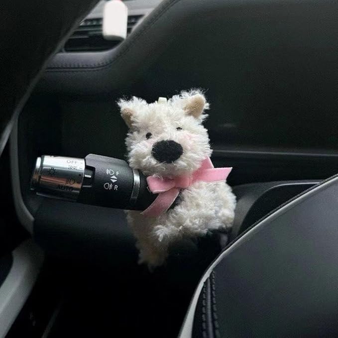 The Wiper Buddy