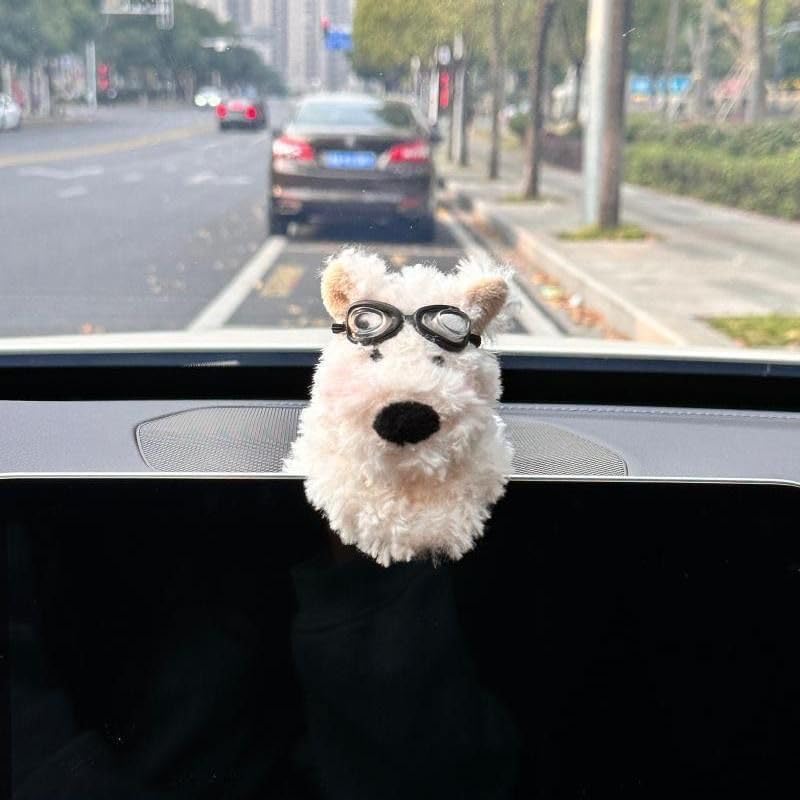 The Wiper Pal