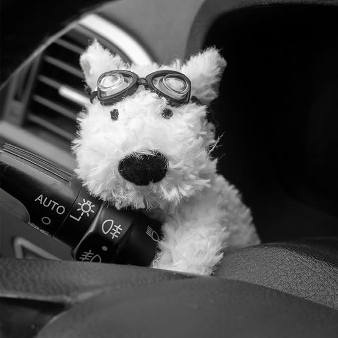 The Wiper Pal