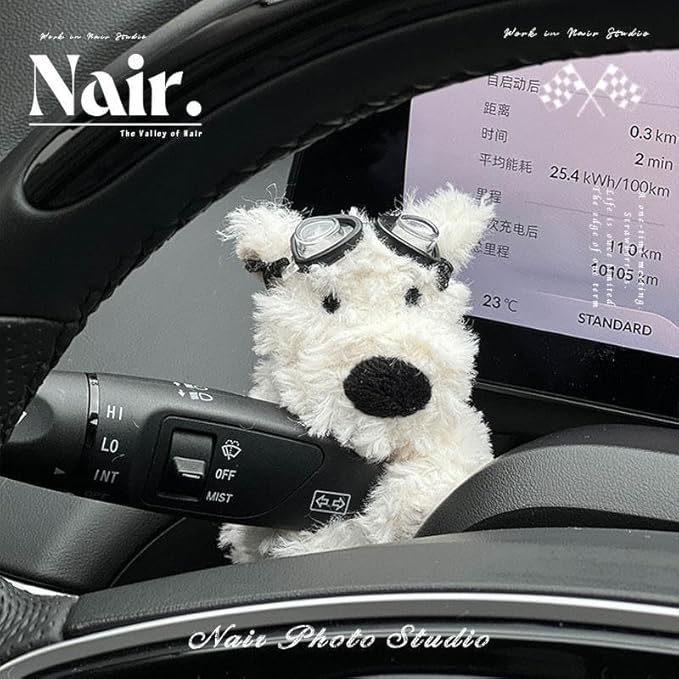 The Wiper Pal