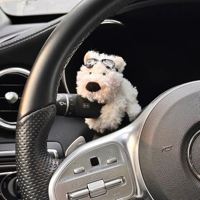 The Wiper Pal