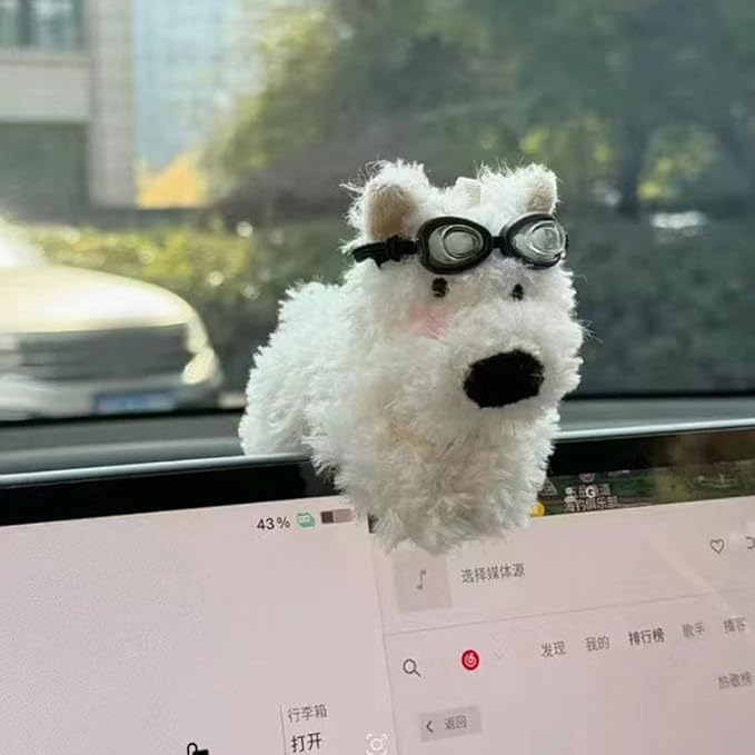 The Wiper Pal